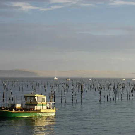別荘 Arcachon: Basque 4 Chambres, & Commerces A 300m - Fr-1-420-160