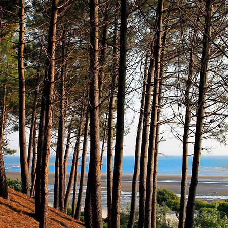 Holiday home Arcachon: Basque 4 Chambres, & Commerces A 300m - Fr-1-420-160 *