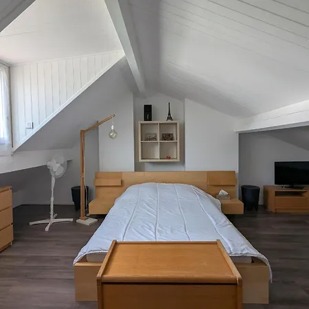 Arcachon: Basque 4 Chambres, & Commerces A 300m - Fr-1-420-160 Holiday home Arcachon